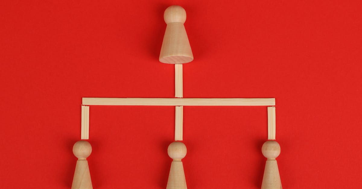 忍者学园:fondi app详情下载教程