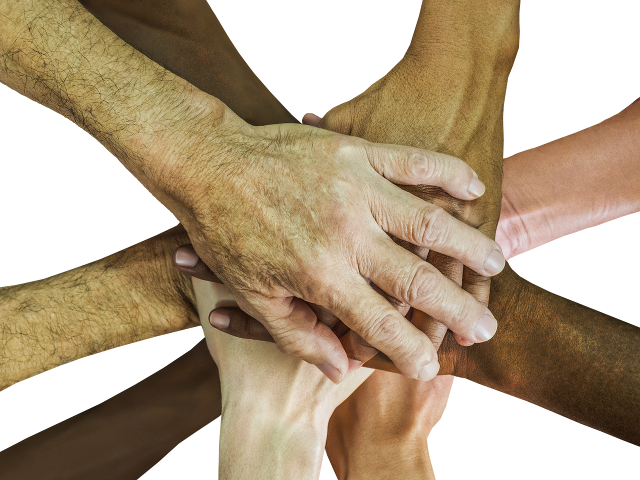 阿里山白大华：福州期货开户正规平台