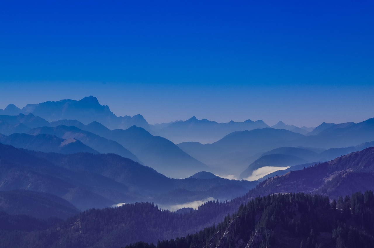 U友实名账号:胸痛中心数据员账号注册