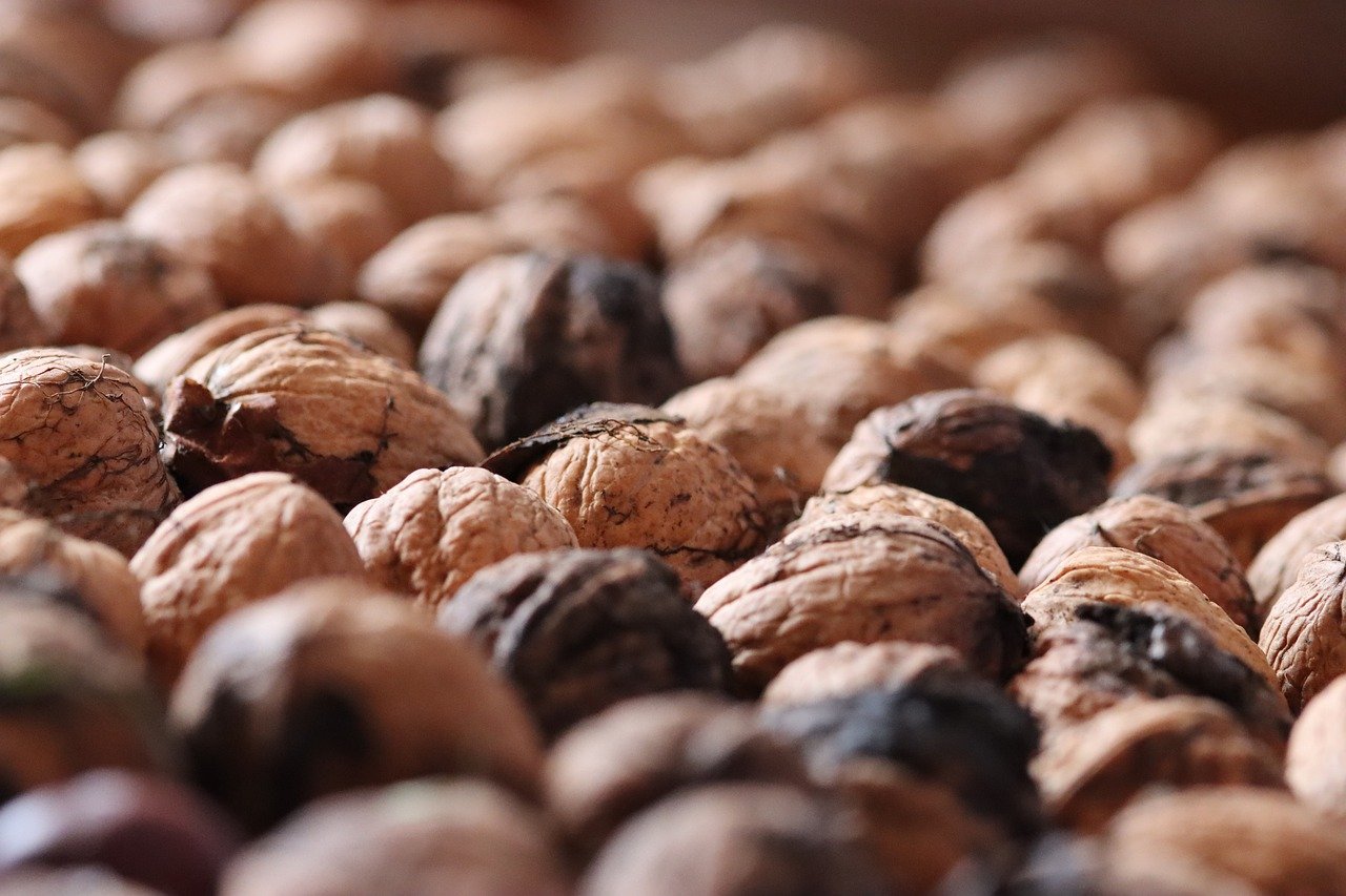 巅峰战舰:如何注册网上平台公司账号