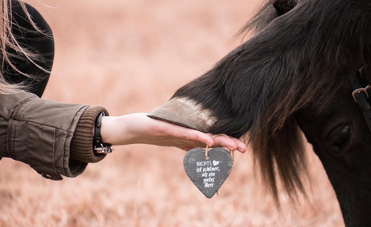 阿里通信实名账号:闪车宝app官方详情下载教程
