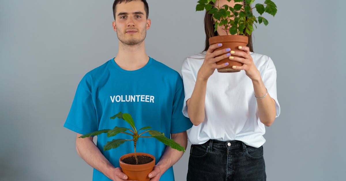 实名手机卡买卖：爱奇艺休闲账号注册