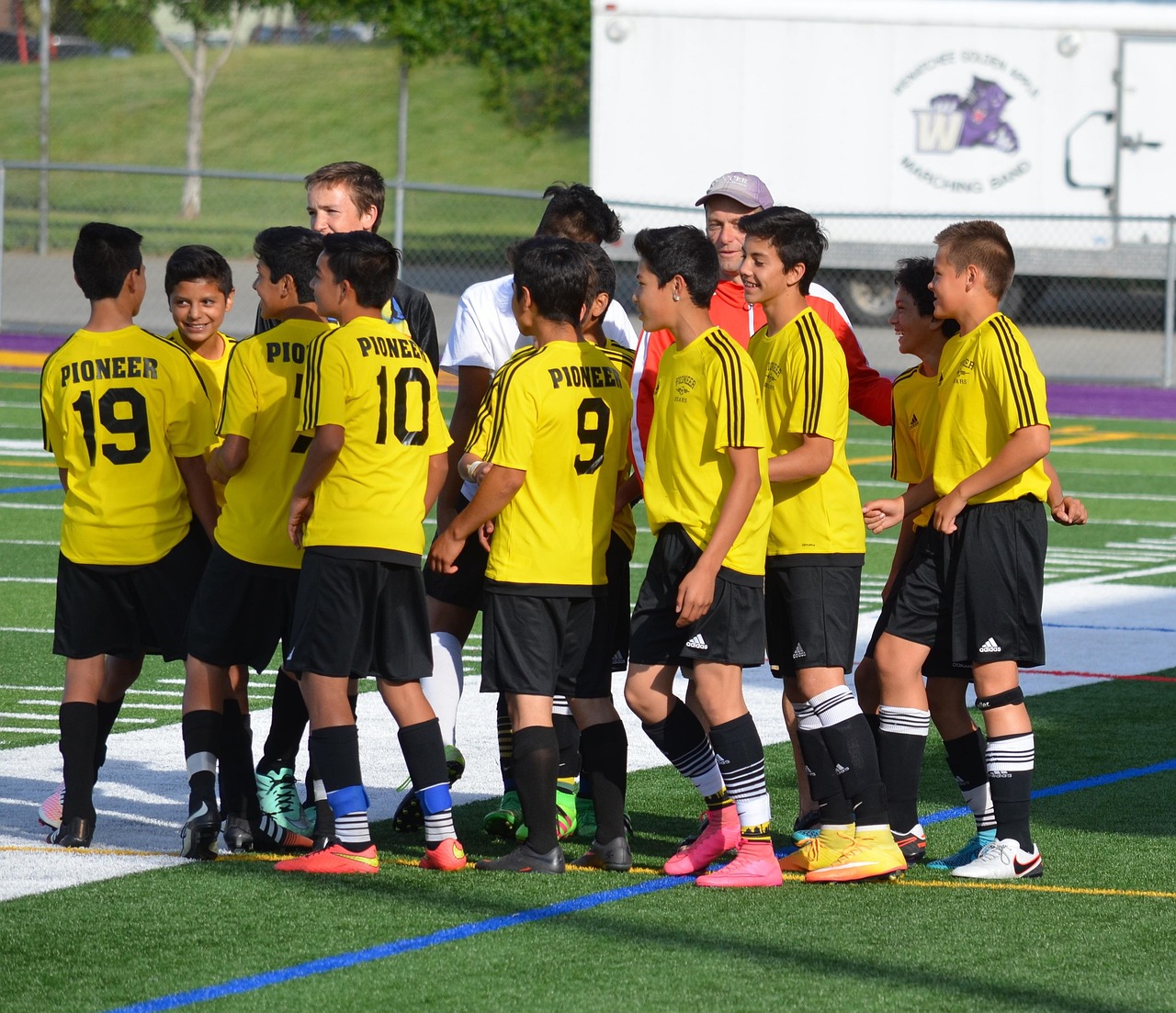 北京盆栽购买平台