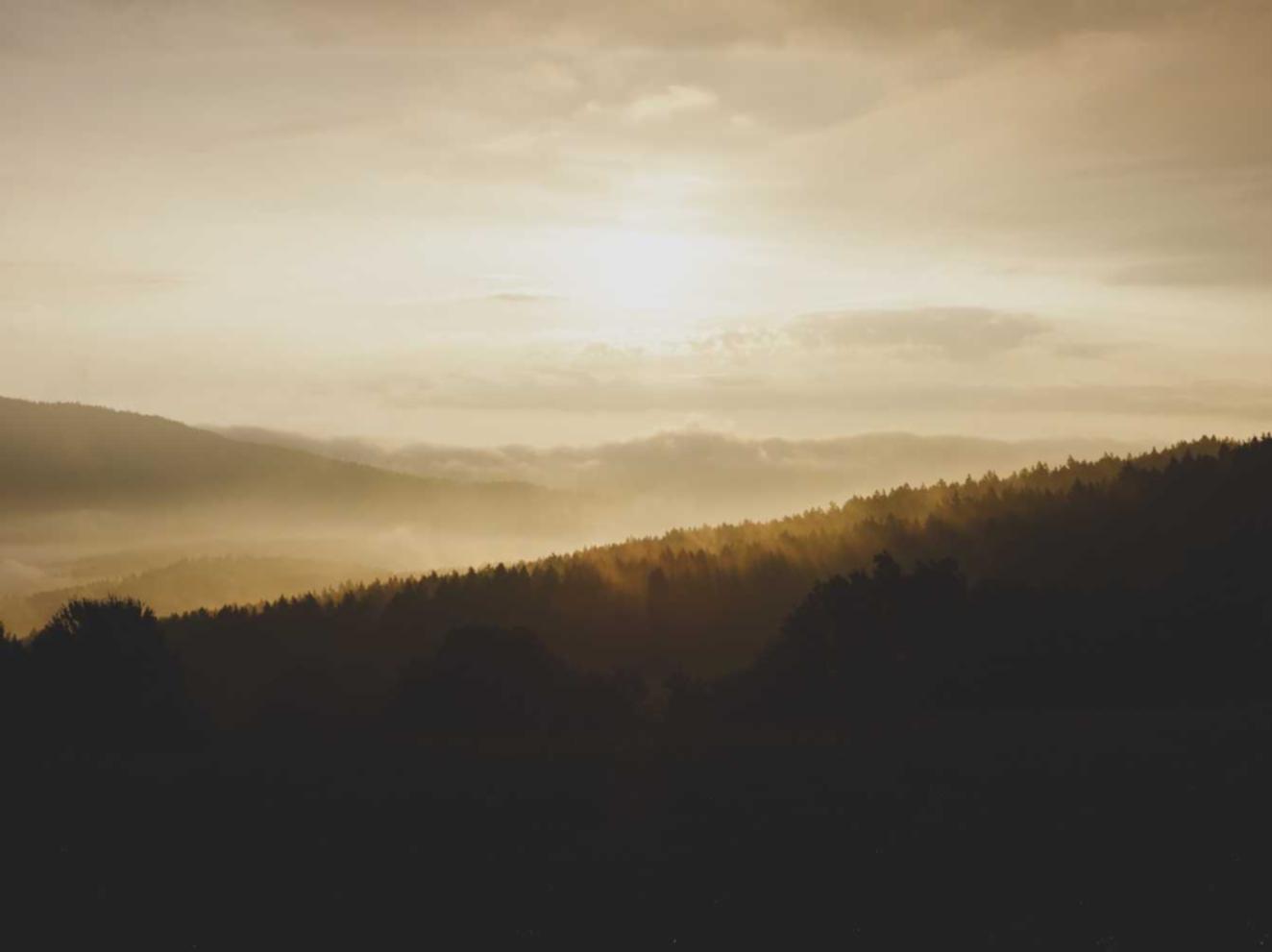 找水果代理平台推荐