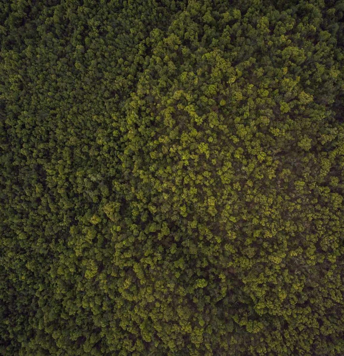 方盒中免红大卫杜夫国际版：通达汇app详情下载教程