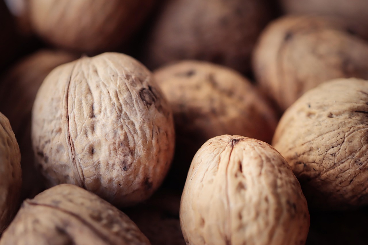 微信出售官网：薛家代理注册公司