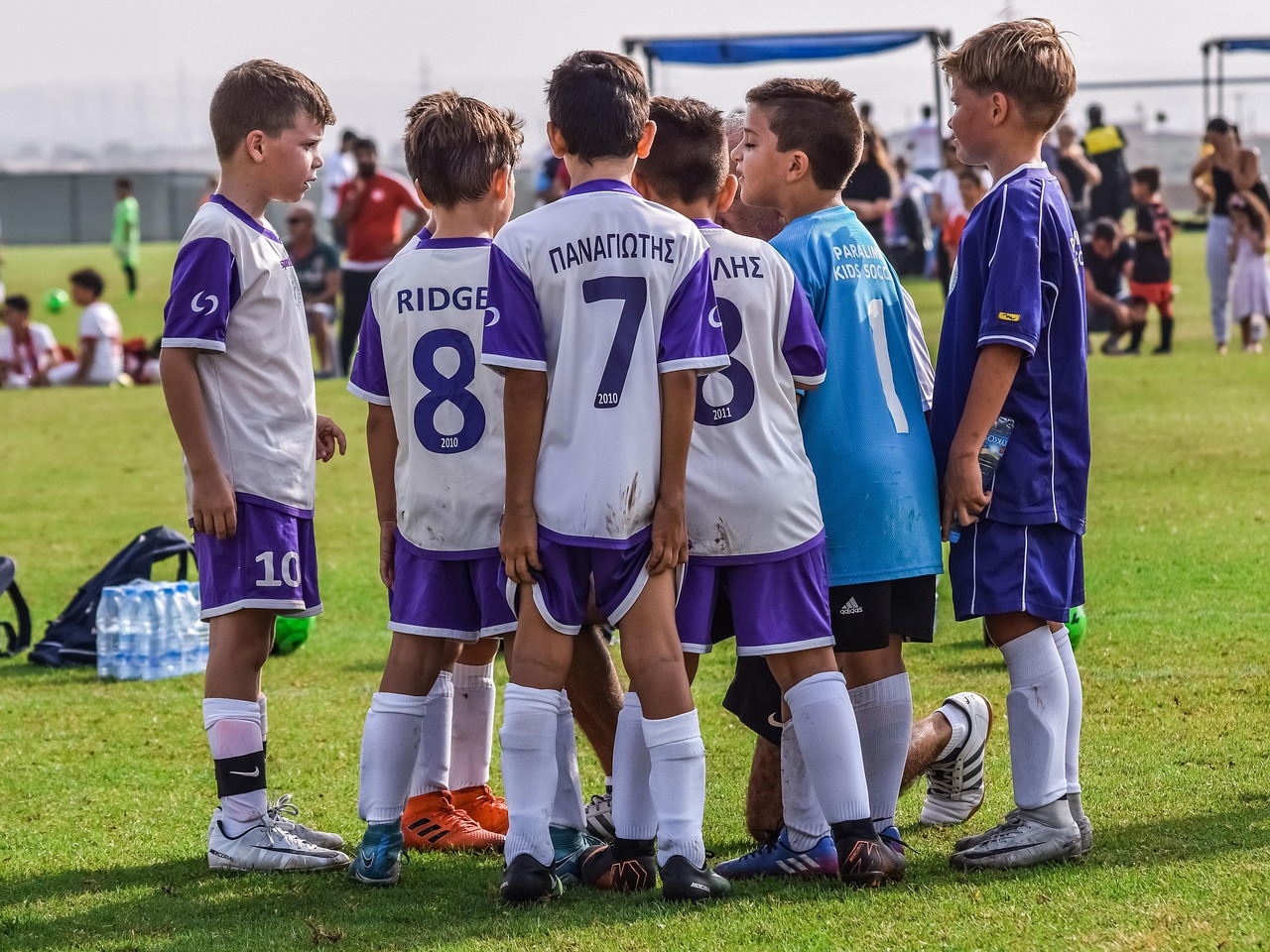 温州烟花购买平台