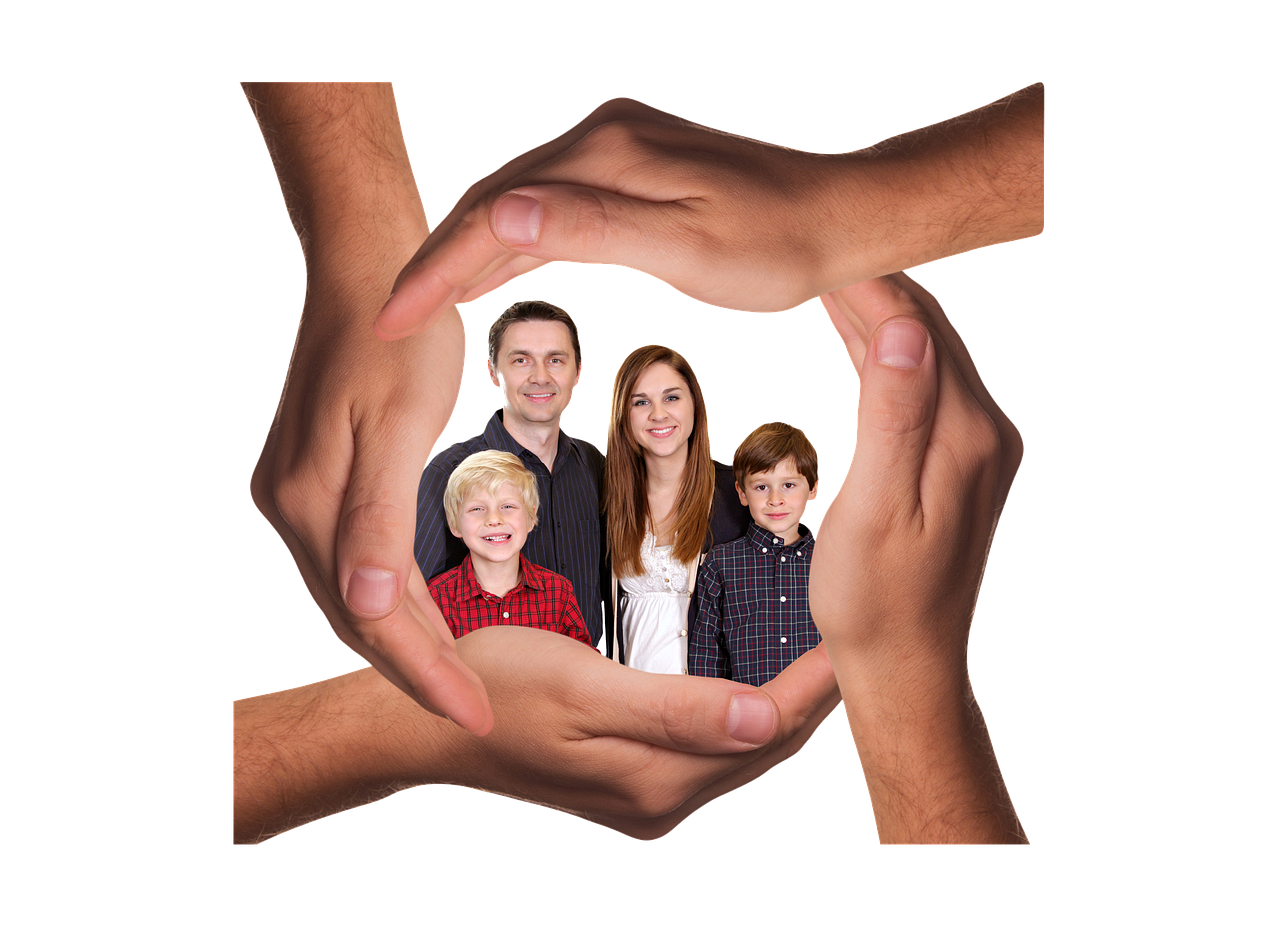 武汉园博园app详情下载教程